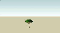 pin parassol bilbord vegetation
