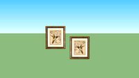hummingbird prints