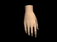 Human Hand 3D Model