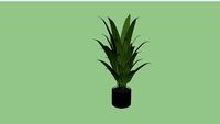 vaso planta OMC