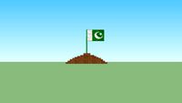 Pakistani Flag