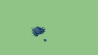 Juniperus horizontalis Blue Chip 3d