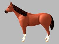 Horse 3D Model