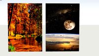 金黃秋楓 Golden autumn maple 夜月 Night Moon 海報 poster