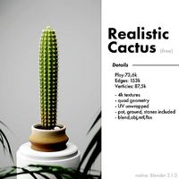 Realistic Cactus with pot ground and little stones included