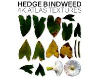 4K Bugle Vine Atlas Textures