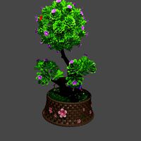 Bonsai love