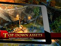 Top-Down Assets Mobile