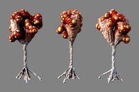 Virus Incubation Organ