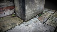 iPhone photogrammetry Warwick