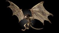 Harpy Vampire Low-poly