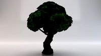 Large Tree