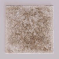 Download free Carpet 3D Model