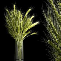 Bouquet Of Green Ears Of Wheat In A Vase