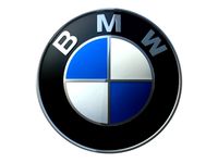 BMW Logo 3D Model
