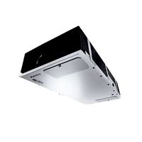 WS 300 Flat KBR