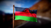 Flag of Malawi - Wind Animated Loop