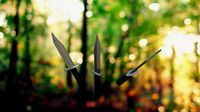 bayonet