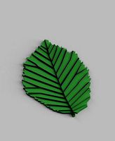 elm leaf  | 3D
