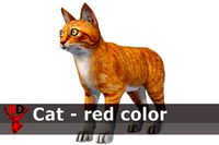 Cat - red color