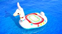 Intex mega llama inflatable island model