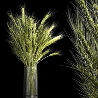 Bouquet Of Green Ears Of Wheat In A Vase