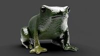 Green frog
