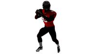 Tampa Bay Buccaneers American Football Player Running Ball Fur