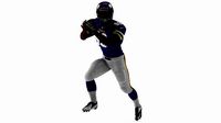 Minnesota Vikings American Football Player Running The Ball Fur