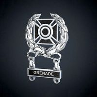 Marksmanship Expert Badge