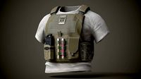 Tactical Vest with T-shirt PBR Game Ready Low-poly 3D model