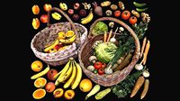 Fruits and Vegetables Collection