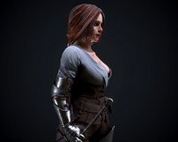 Hired knight