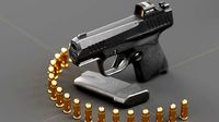 Kimber R7-Mako