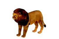 Lion 3D Model Game Ready