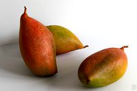 Mango 010
