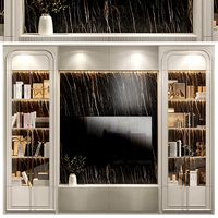 Neoclassical TV wall 018