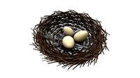 Bird nest v1