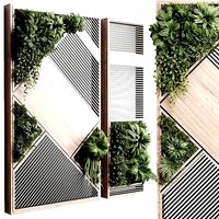 plants set partition in wooden frame 29