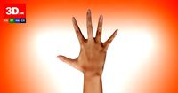 Retopologized 3D Hand scan of Alexia Madrid