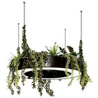 hanging plant 04