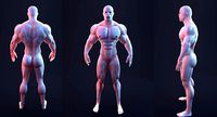 Stylize bodybuilder