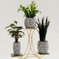Pots with Plants 3D model