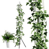 Porcelain vase system for hydroponic cultivation