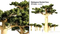 Madagascar Baobab Set Trees