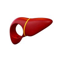 Cartoon Liver Costume Hat v1 003