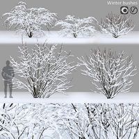 Winter bushes 01