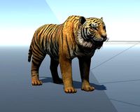 Lowpoly Tiger Rigged and Animated for VR AR Games