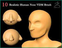 10 Realistic Human Nose VDM Brush