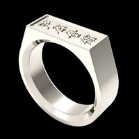 Ashihara ring | 3D